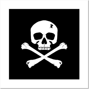 skull and crossbones flag Posters and Art